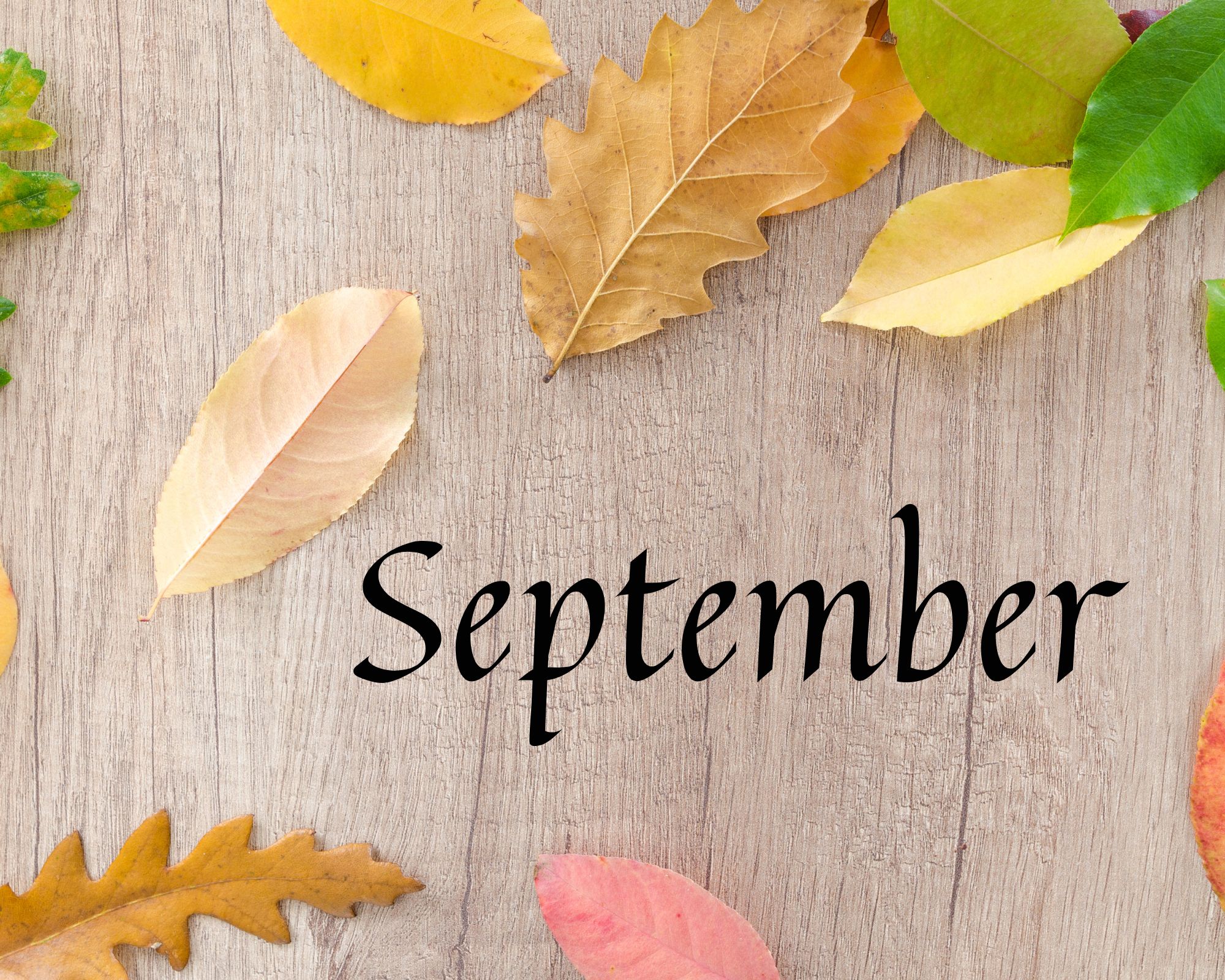 Podujatia na september