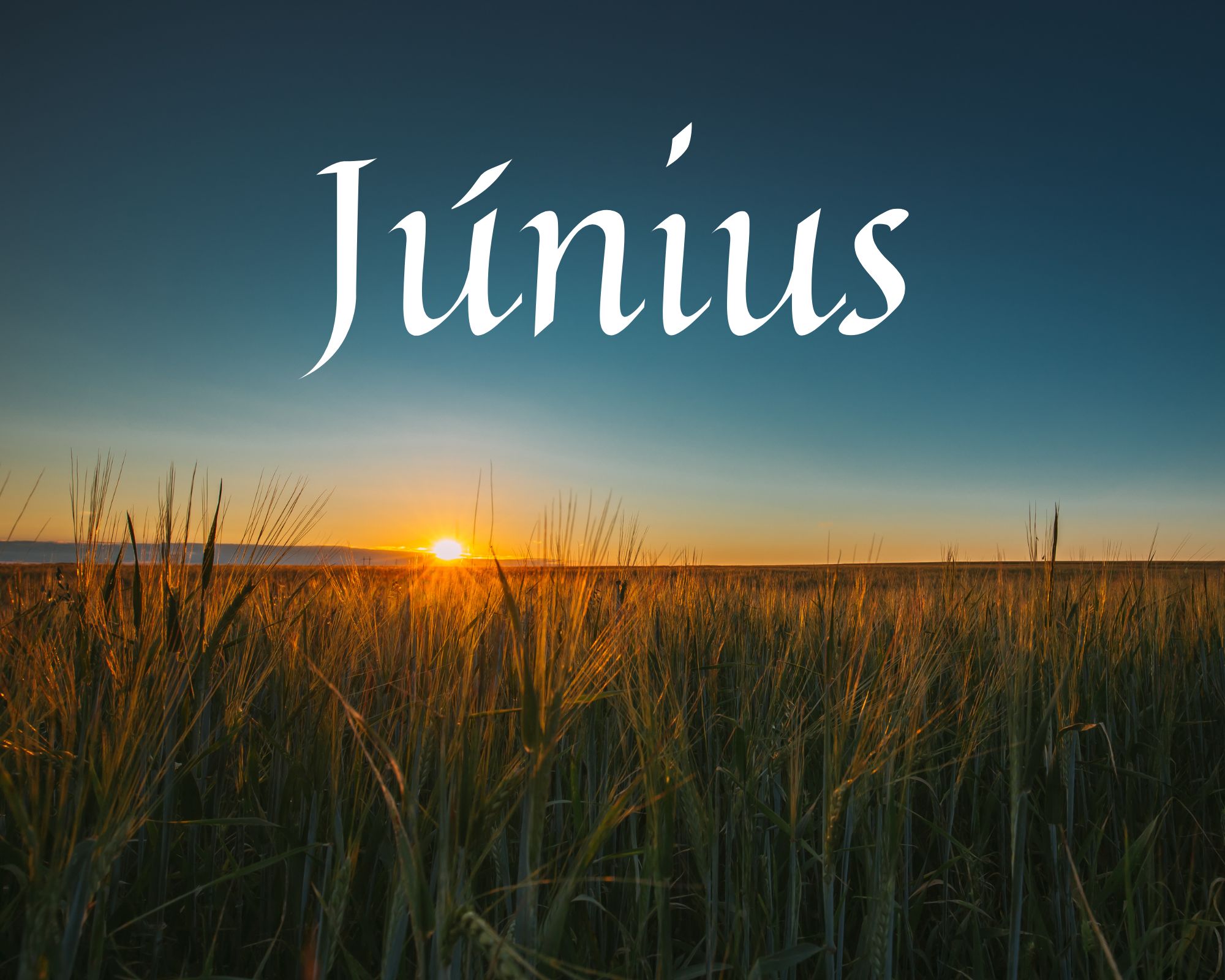 Júniusi programajánló