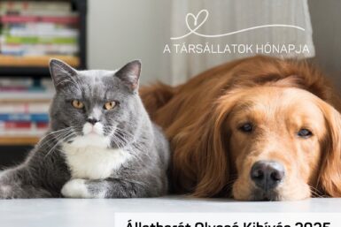 Augusztus a társállatok hónapja