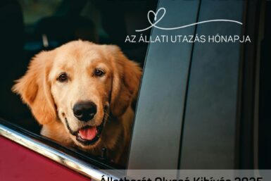 Szeptember az állati utazás hónapja