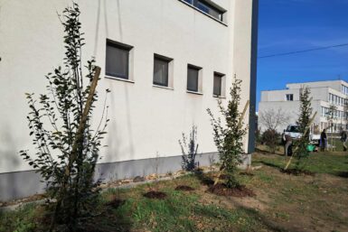 Knižnica sa naďalej skrášľuje