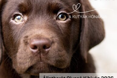 Február a kutyák hónapja