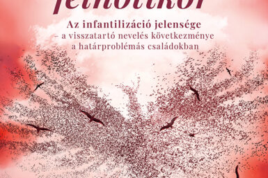 Bibók Bea: Ellopott felnőttkor