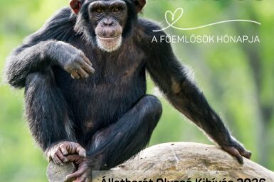 Március a főemlősök hónapja