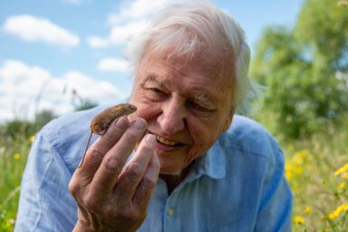 Sir David Attenborough oslavuje 100 rokov