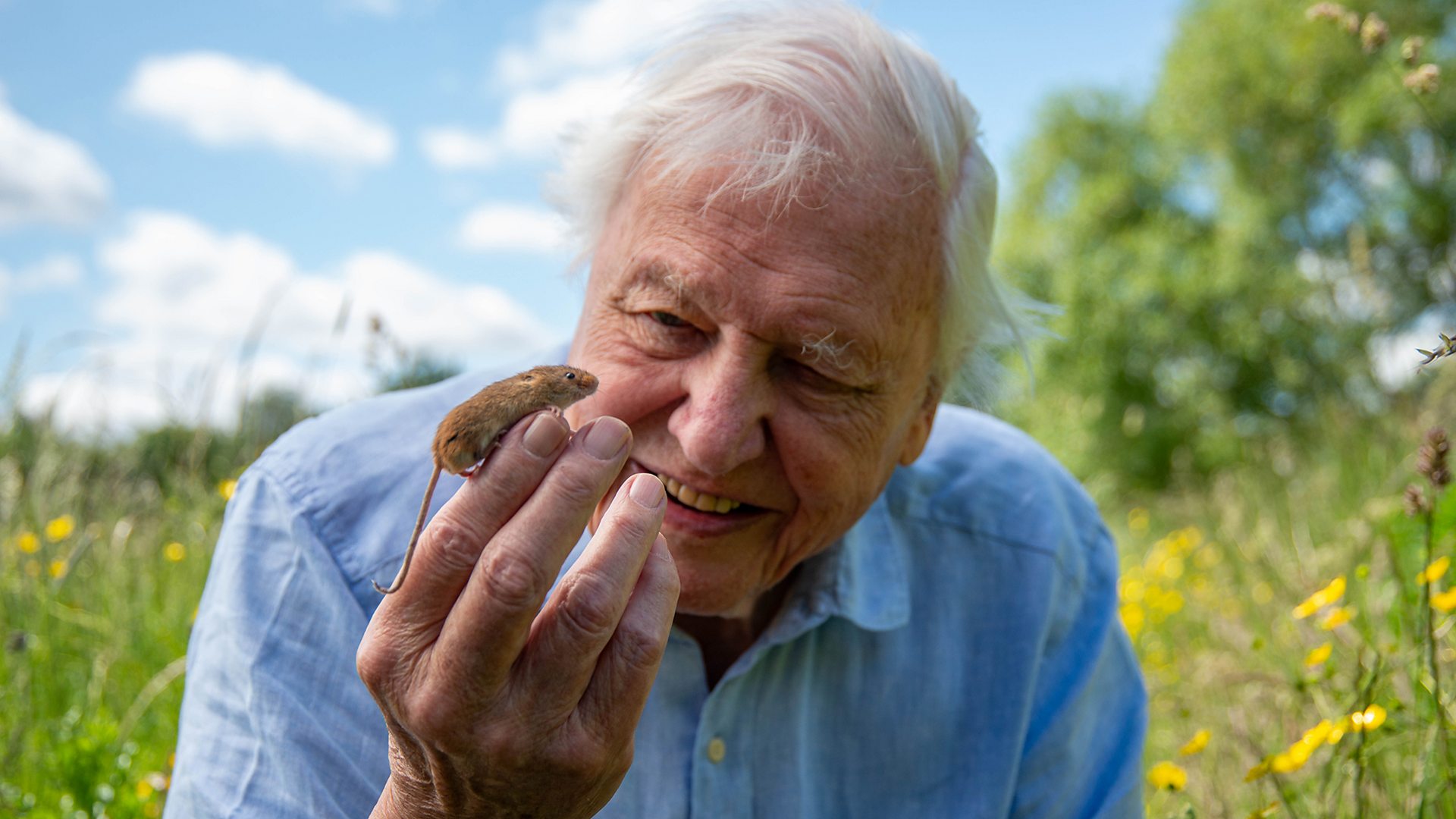 Sir David Attenborough oslavuje 100 rokov