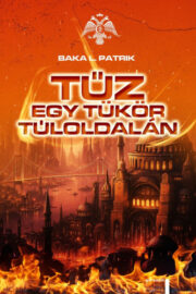 Baka L. Patrik: Tűz : egy tükör túloldalán