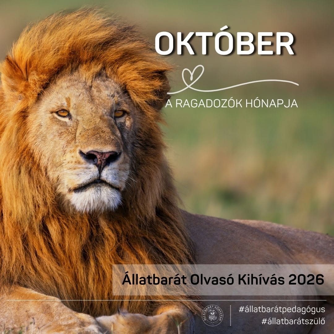 Október a ragadozók hónapja
